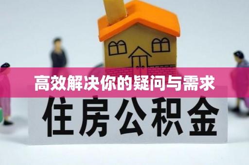 厦门高效解决你的疑问与需求