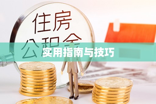 厦门实用指南与技巧
