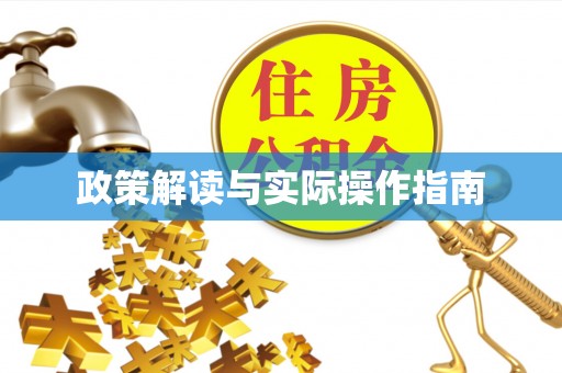 厦门政策解读与实际操作指南