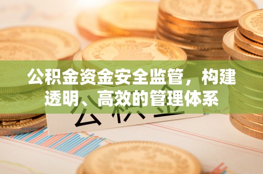 厦门公积金资金安全监管，构建透明、高效的管理体系