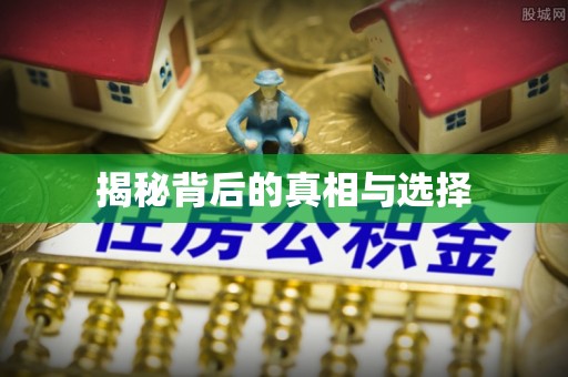 厦门揭秘背后的真相与选择
