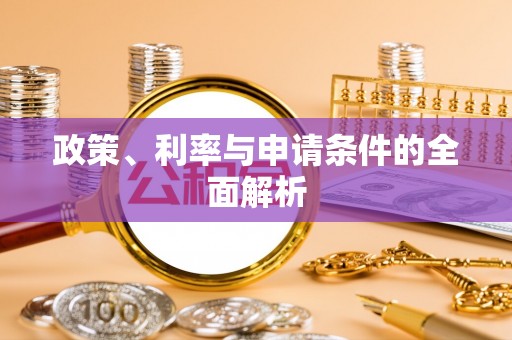 厦门政策、利率与申请条件的全面解析