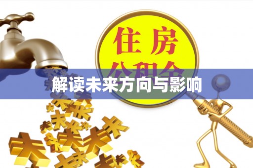 厦门解读未来方向与影响