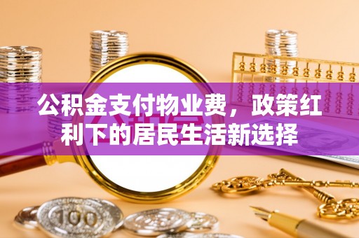 厦门公积金支付物业费，政策红利下的居民生活新选择