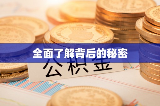厦门全面了解背后的秘密
