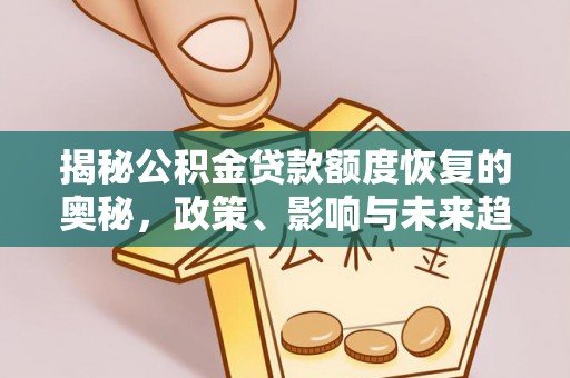 厦门揭秘公积金贷款额度恢复的奥秘，政策、影响与未来趋势