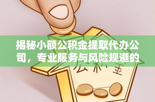 厦门揭秘小额公积金提取代办公司，专业服务与风险规避的平衡艺术