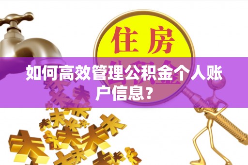 厦门如何高效管理公积金个人账户信息？