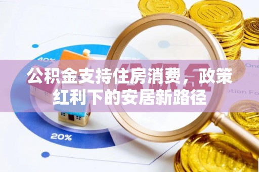 厦门公积金支持住房消费，政策红利下的安居新路径