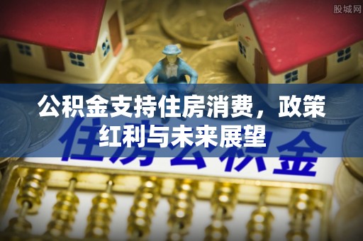 厦门公积金支持住房消费，政策红利与未来展望