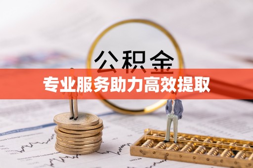 厦门专业服务助力高效提取